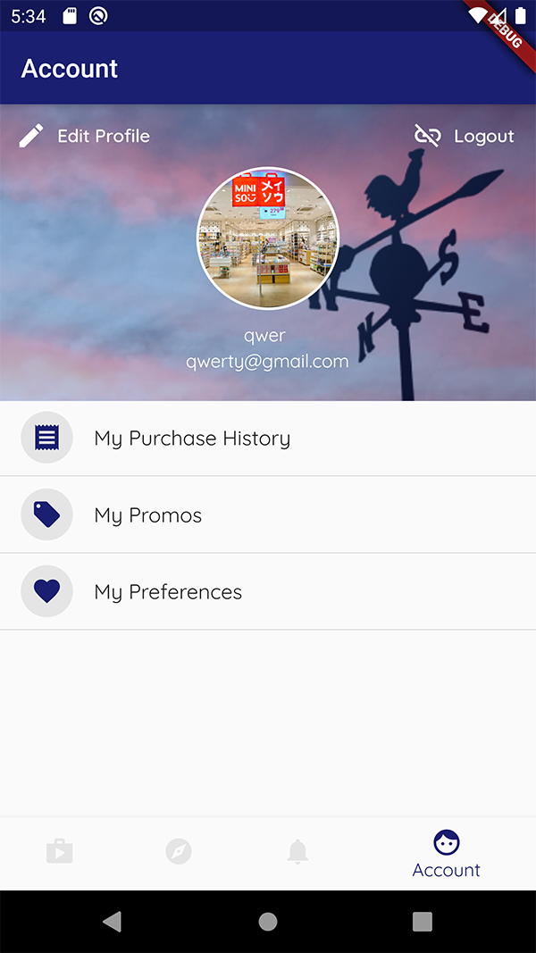 The account screen of PromoGo