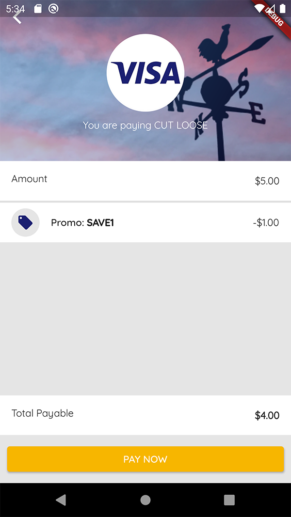 The payment screen of PromoGo, utilizing the Visa Direct API